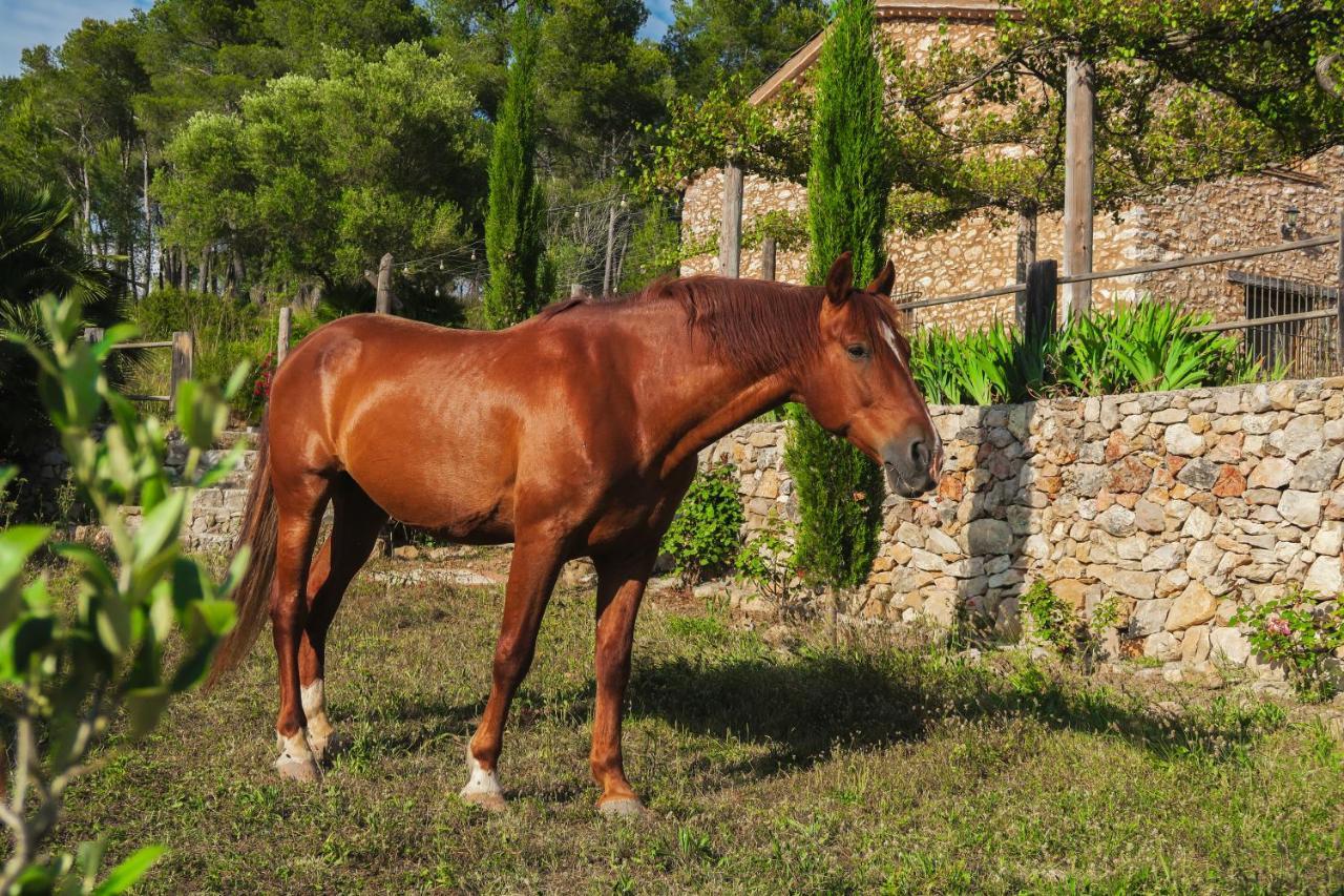 Masia Pou De La Vinya Sitges Eksteriør bilde